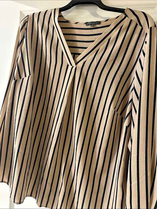 Adrianna Papell Tops - Adrianna Papell Striped V-Neck Blouse in Tan & Black Size 3X